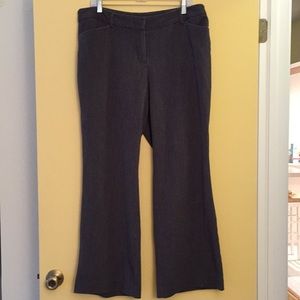 Dress Pants Lane Bryant